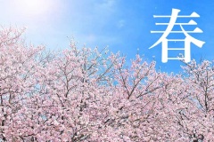 春