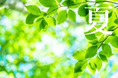 夏