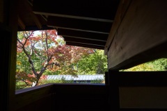 どこか懐かしい館内の風景